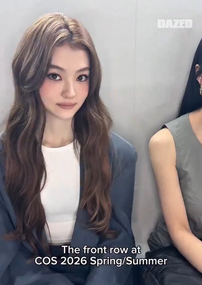 stupid cheese cat tweet media