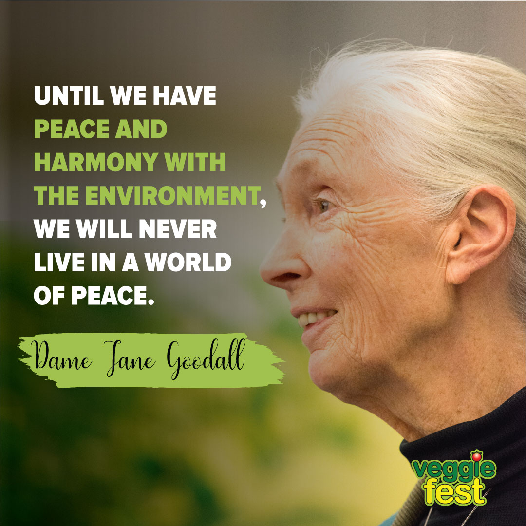 Veggie Fest Chicago tweet media