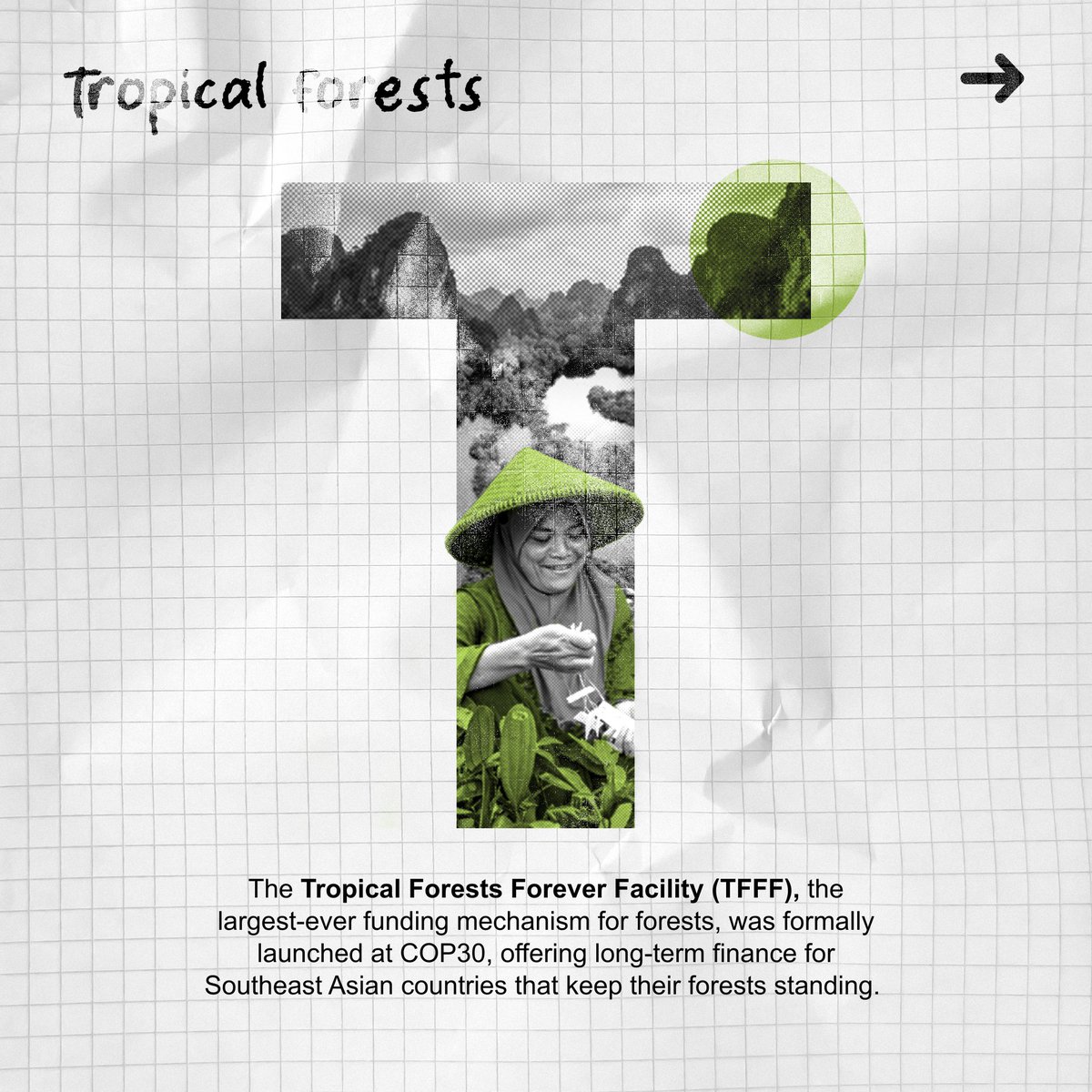 UKinVietnam's tweet photo. Southeast Asia is home to nearly 15% of the world’s tropical forests… yet it also faces the highest risk of deforestation globally.
The UK is backing initiatives to protect green forests, from investing in forest rehabilitation to supporting long-term finance.
#ABCsOfClimate https://t.co/SgJtxyTI7E