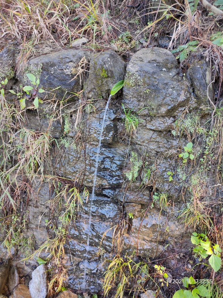 pargaien's tweet image. Every drop tells a story of a forest doing its job. 🌳💧
 
This "thin" waterfall ( called dhara in Uttarakhad) indicates a healthy underground aquifer, kept alive by the roots above. 

No forest, no springs. No springs, no life.

#Forests #WaterConservation #Sustainability