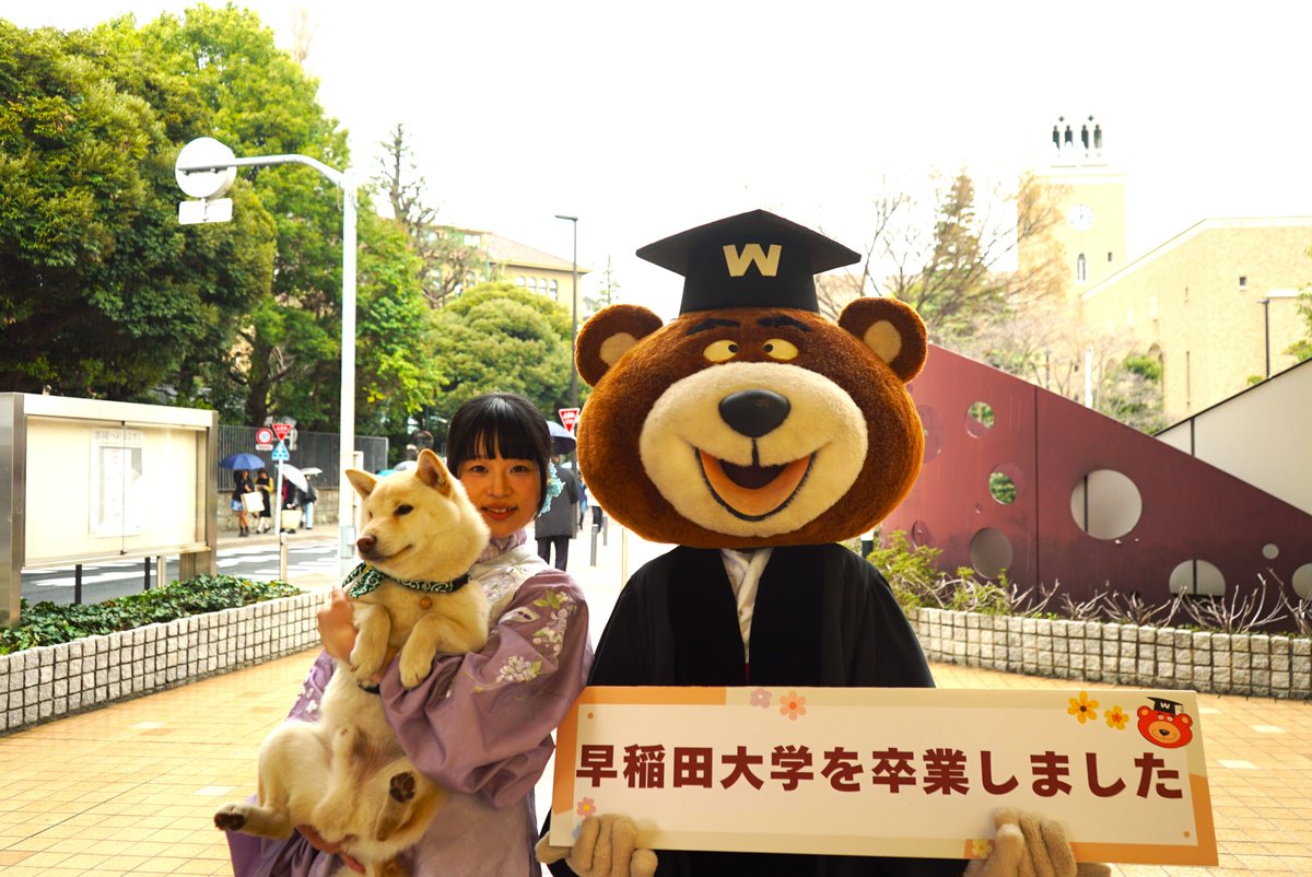 waseda_univ_Cul's tweet photo. 【ワセダベア撮影サービス】
本日は、ワセダベアが３号館前、27号館前(GCCコモンルーム前)に出没しました。3/26も早稲田キャンパスに出没予定。卒業記念に ワセダベアと撮影しましょう！
#早稲田大学 #卒業 #ワセダベア https://t.co/xE4uw3vFlQ