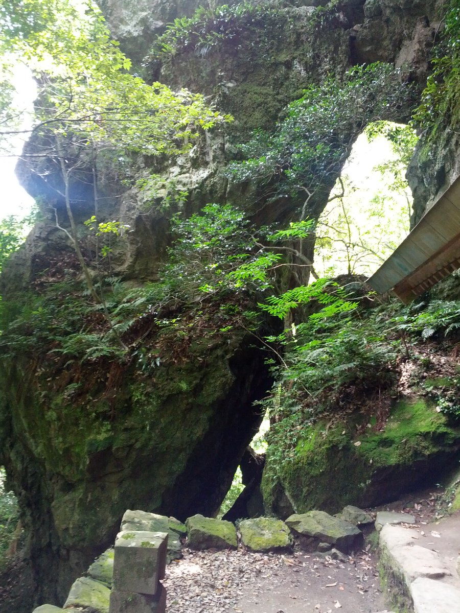 こうち(Kouchi) tweet media