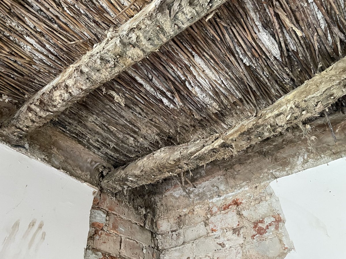 Timberwise's tweet image. Wet rot vs dry rot: do you know the difference? 

One stays localised, the other can spread through your building, but both can lead to serious structural damage if ignored.

Learn how to identify &amp;amp; prevent timber decay: timberwise.co.uk/wet-rot-vs-dry…

#PropertyManagement #Timberwise