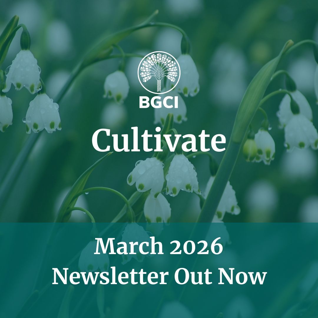 Botanic Gardens Conservation International tweet media