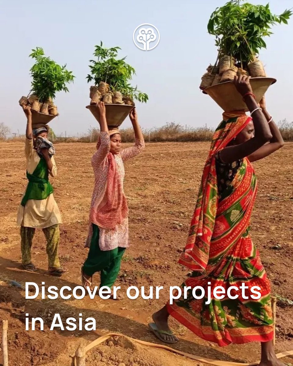 Tree-Nation tweet media