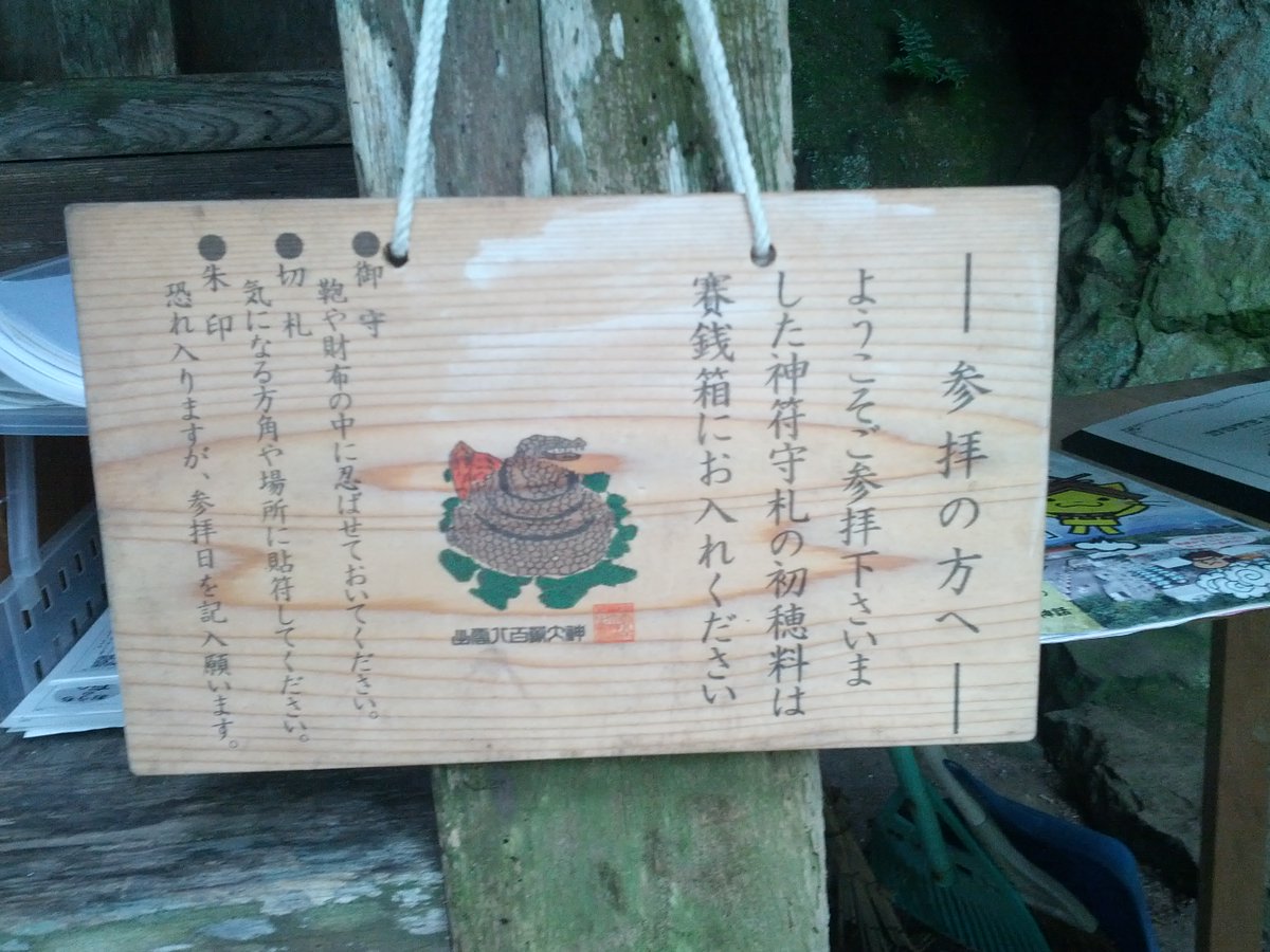 こうち(Kouchi) tweet media