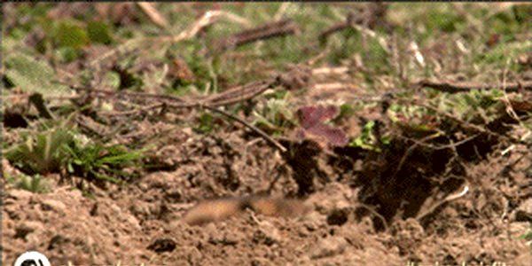 The Coding Love 👨‍💻 tweet media