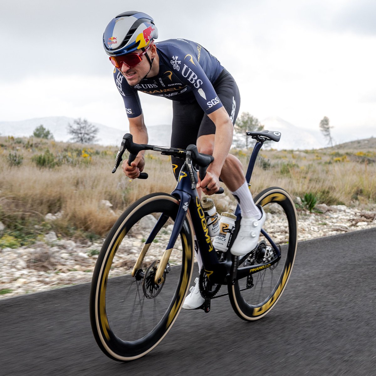 株式会社Many'S tweet media