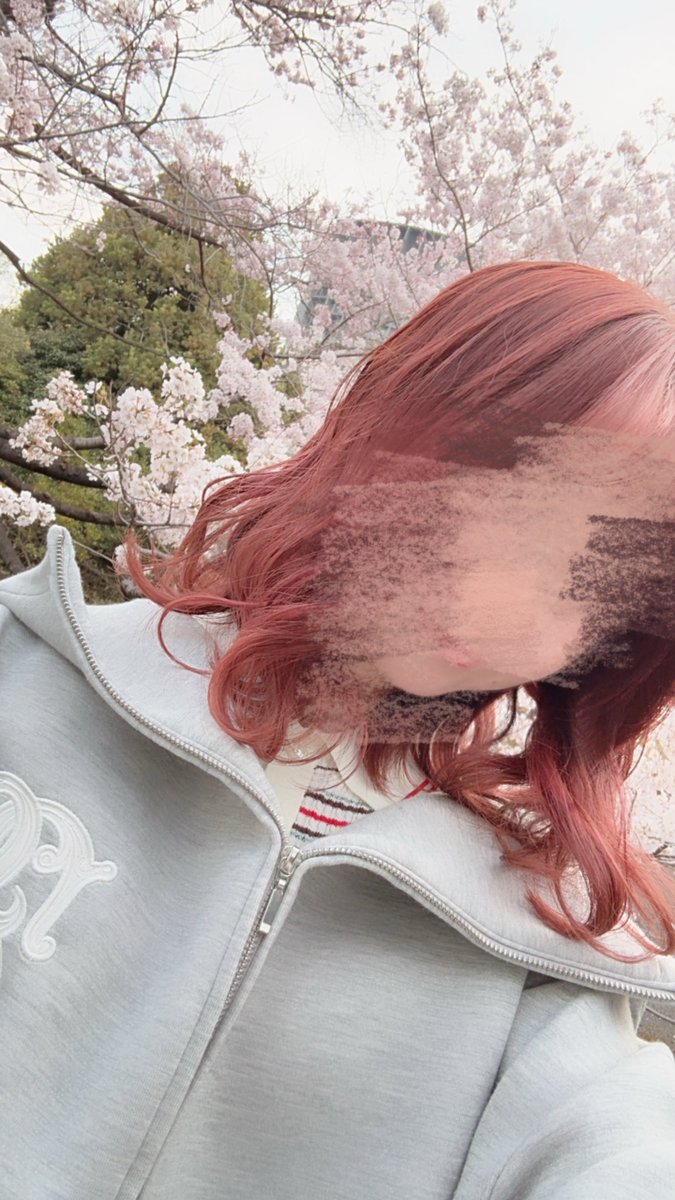 こはならむ / Kohana Lam tweet media