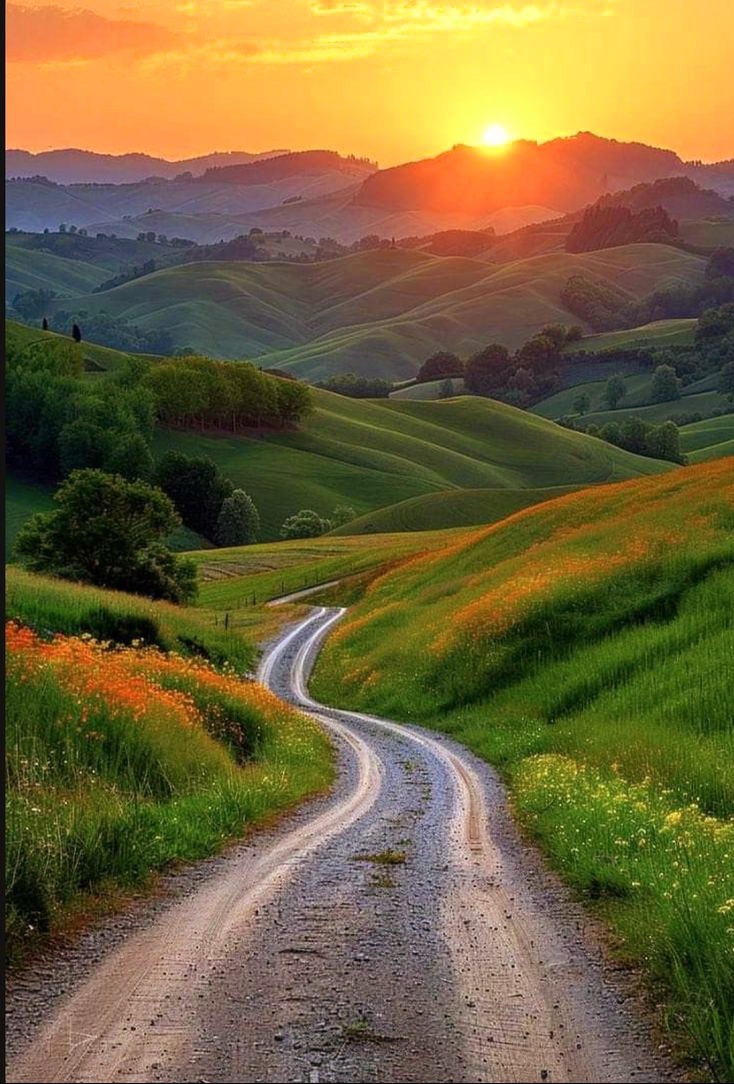 MERCHE MALDONADO tweet media