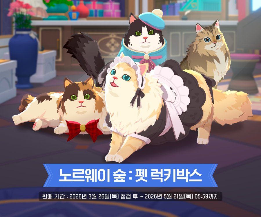 잼버지 tweet media