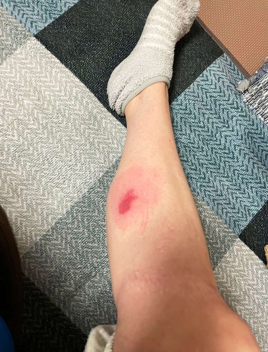 【公式】八木あずさ tweet media