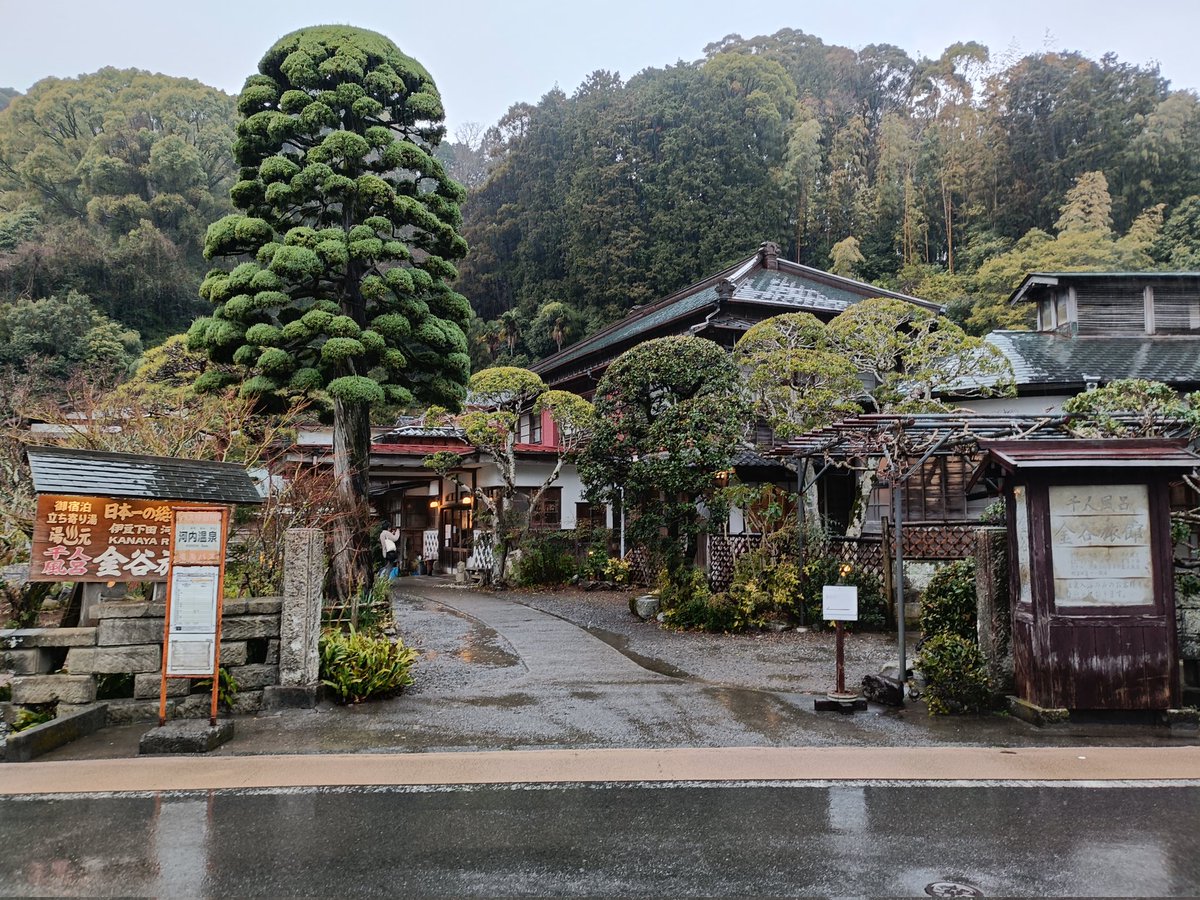 ken1usugi's tweet photo. 息子との伊豆下田旅行後半。食事が最高！（で他は微妙）な下田聚楽ホテルに泊まった翌日、下田海中水族館でカヤックに乗ってイルカと触れ合う予定が雨がひどく泣く泣く中止。。。イルカショーと水槽だけ楽しんで、余った時間で念願の金谷旅館の千人風呂へ。最後はサフィール踊り子に乗って���適に帰宅！ https://t.co/Dh56WcheFH