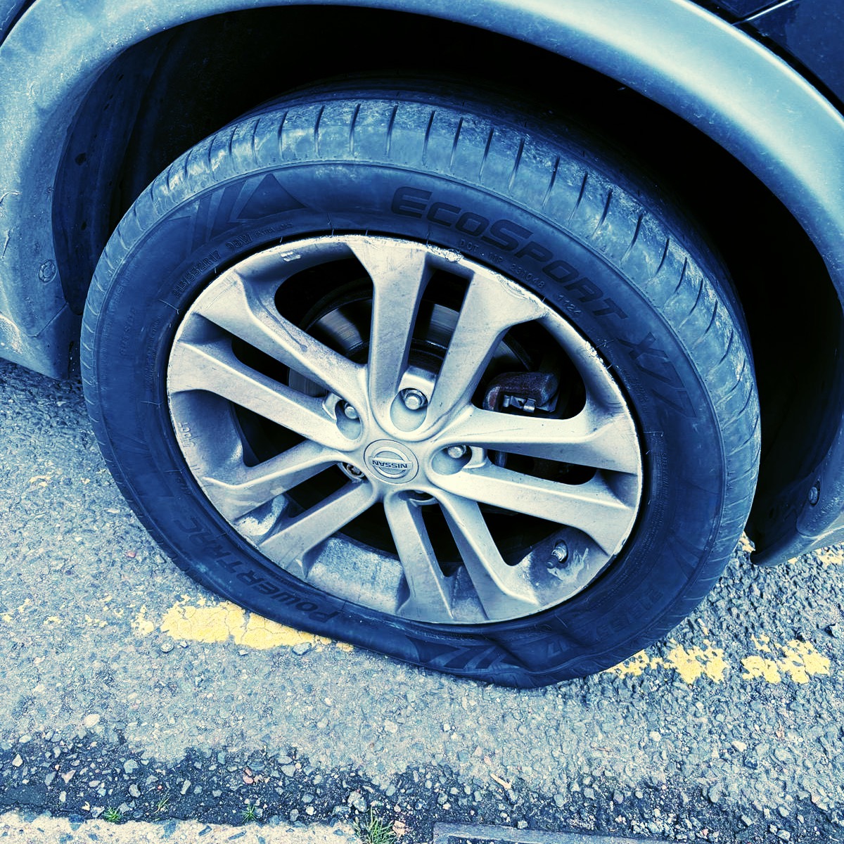 WMP Traffic tweet media