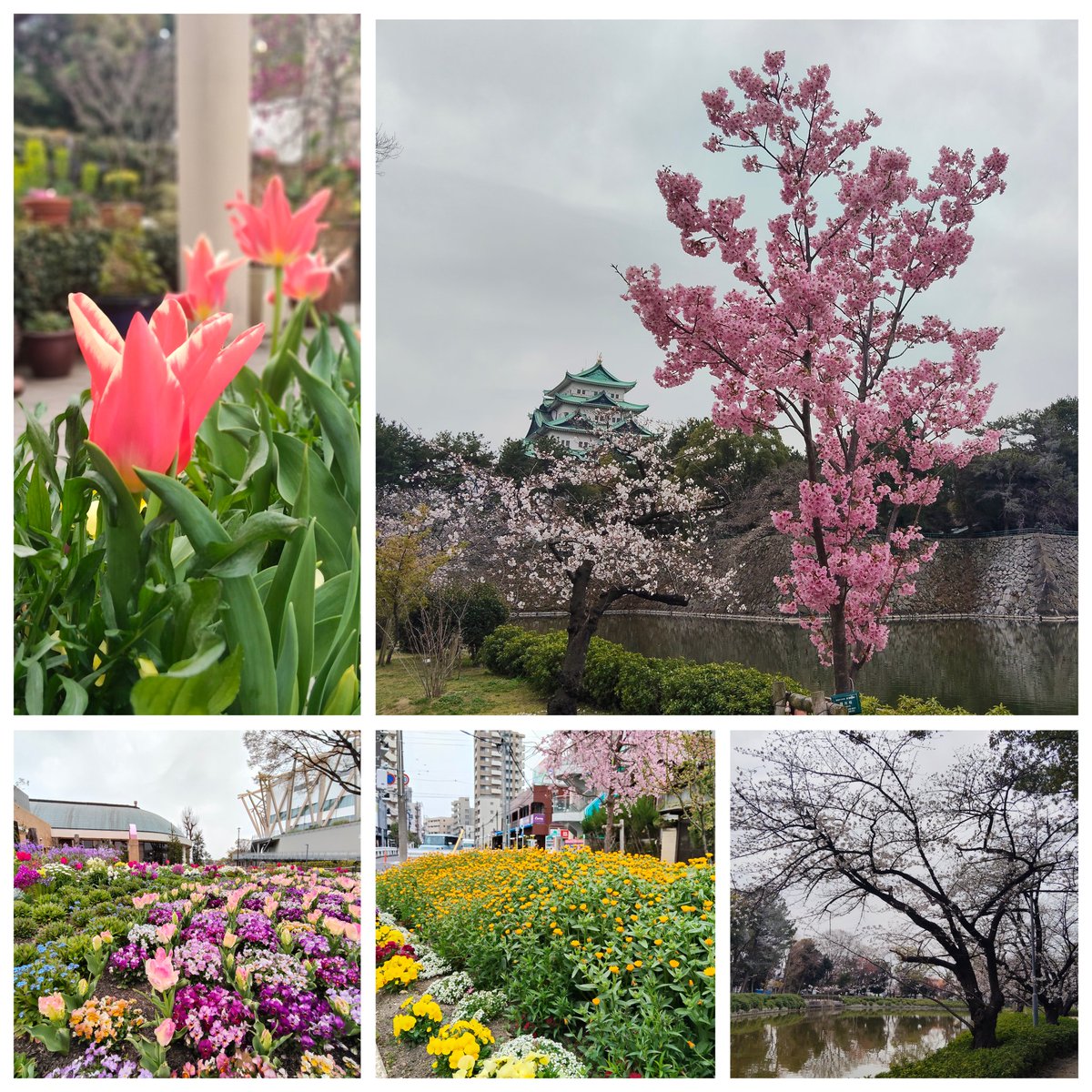 ばず。 tweet media