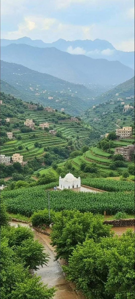 عبدالعزيز بن عبدالله الفالح 🇸🇦 tweet media