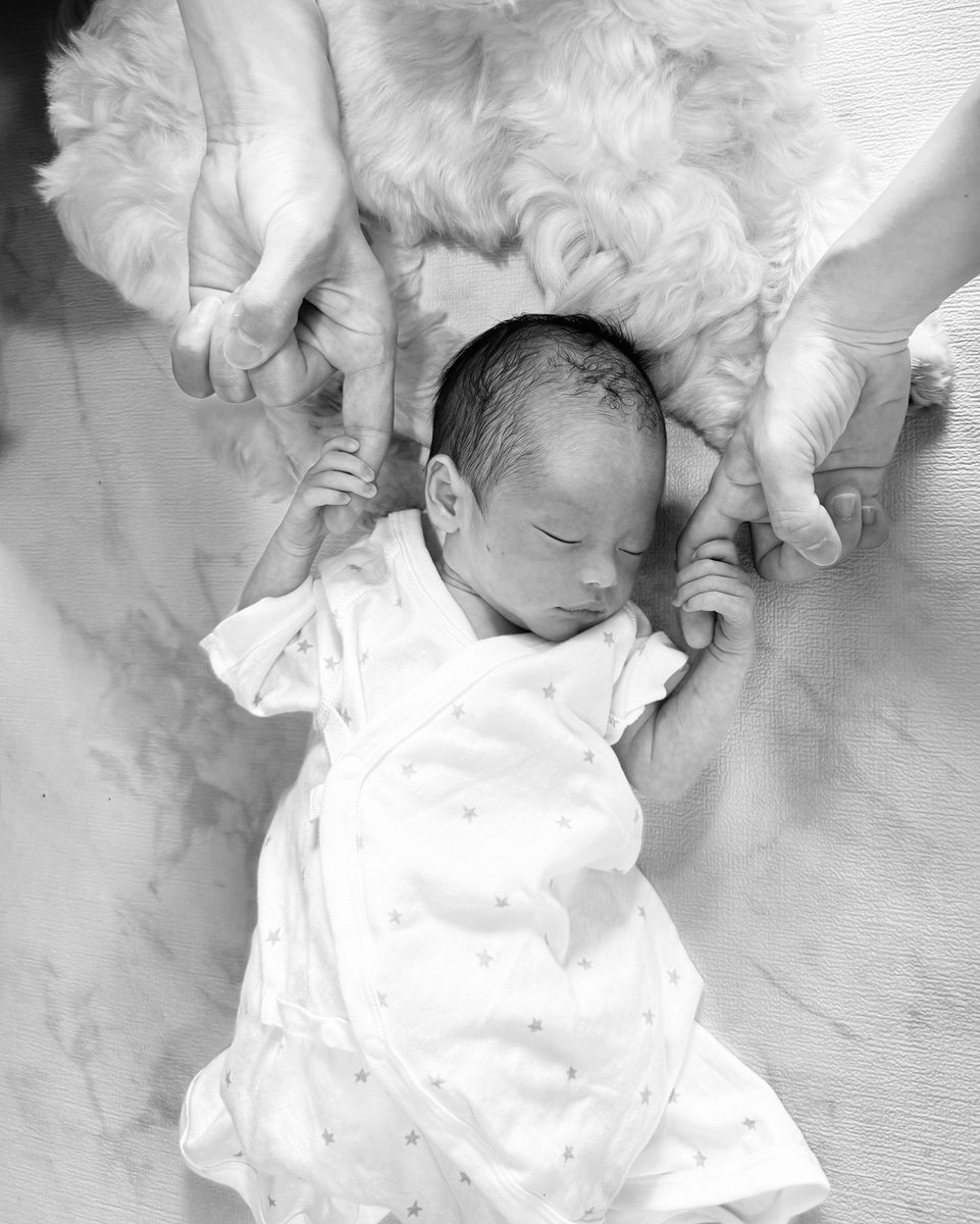 田口恵那 tweet media