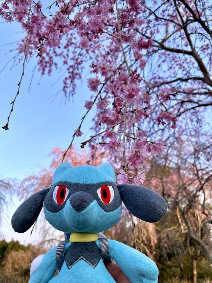 おでかけリオル tweet media