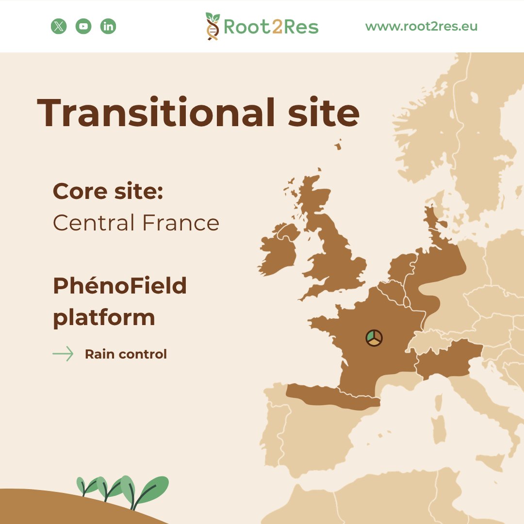 Root2Res tweet media