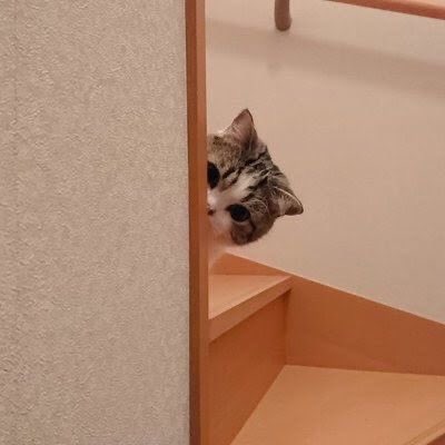 ZuerDailyTH tweet media