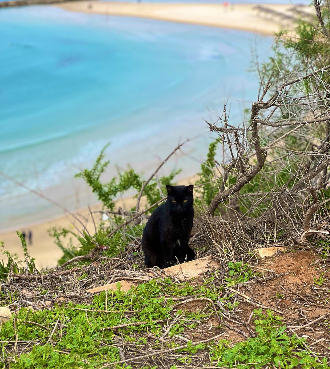 Baroness Kay Wierba the 1st tweet media