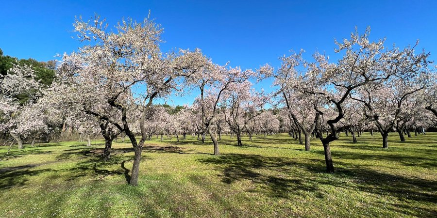 Línea Madrid tweet media