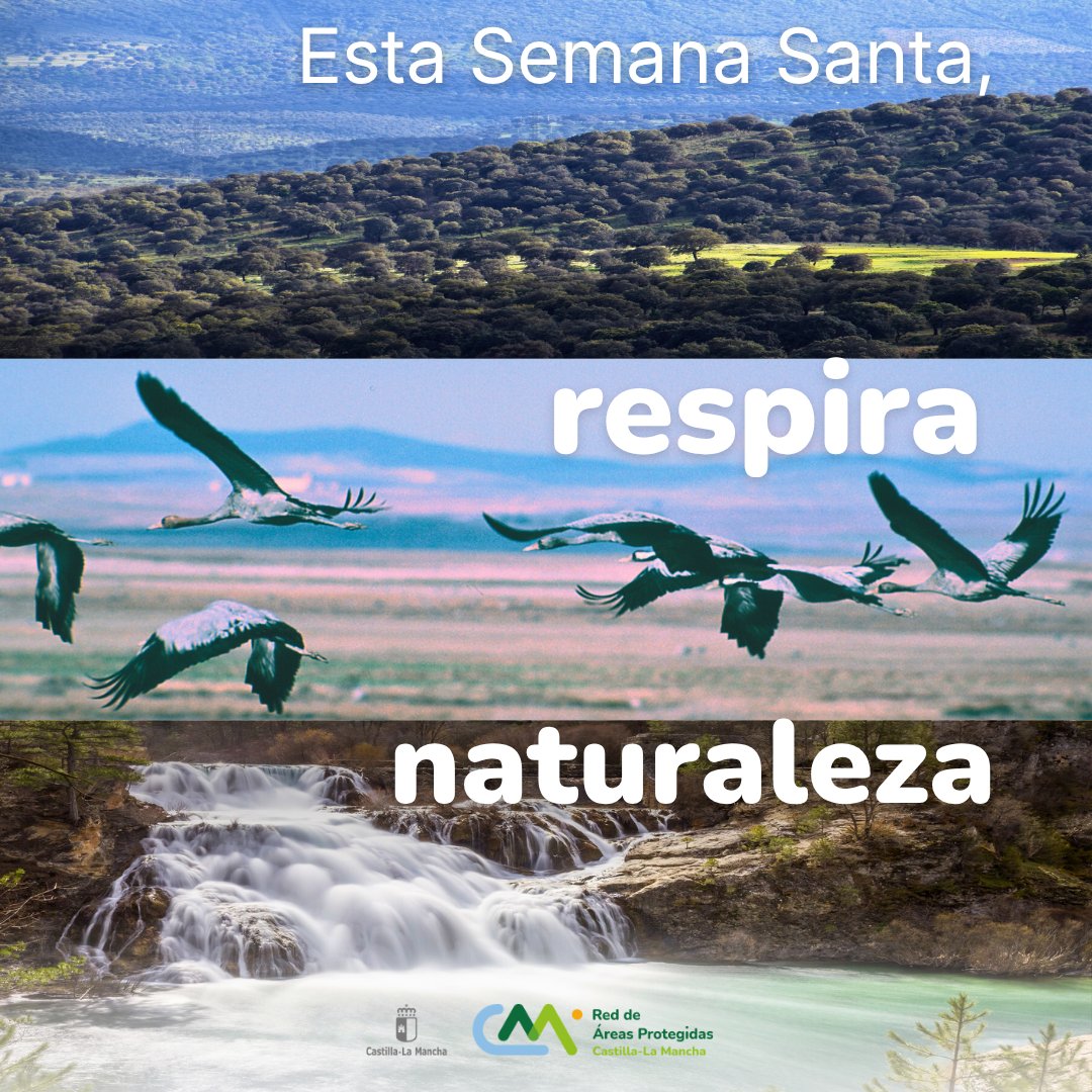 Esta Semana Santa, regálate tiempo al aire libre. 🌿

Miradores, senderos, centros de interpretación y paisajes que invitan a bajar el ritmo y volver a lo esencial.

Planifica tu escapada a los Espacios Protegidos de Castilla-La Mancha 🔗 f.mtr.cool/yvstvfrmek
