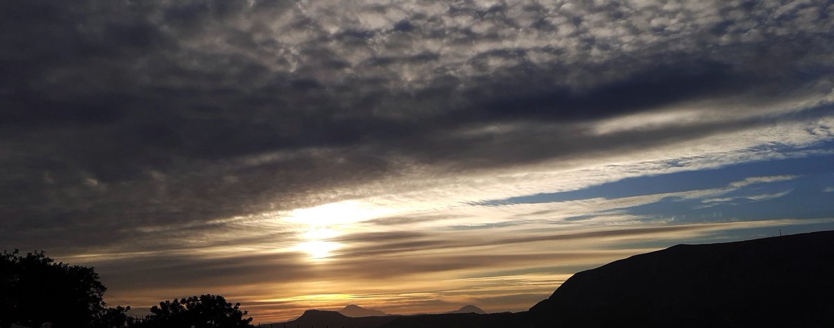 Black Velvet tweet media