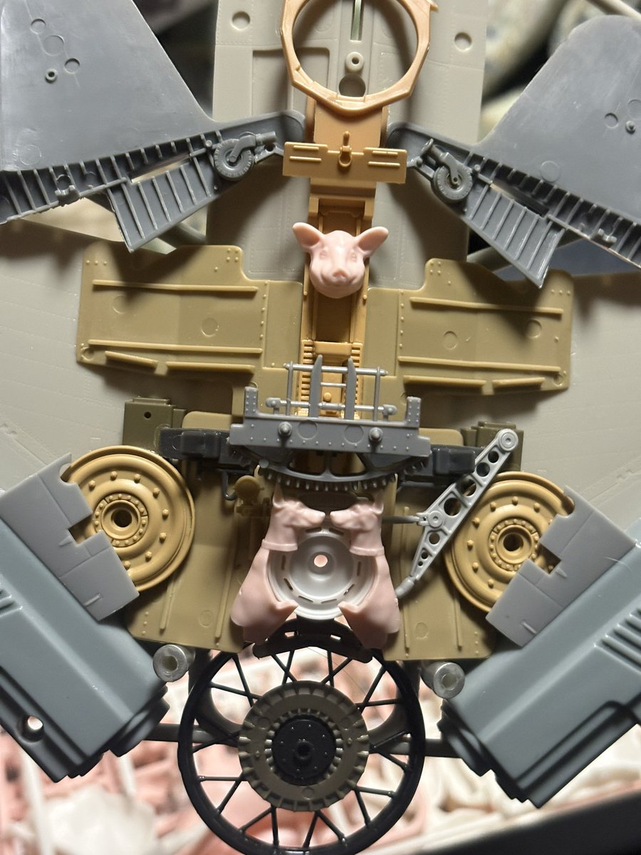 tanoくま(冬眠明け) tweet media