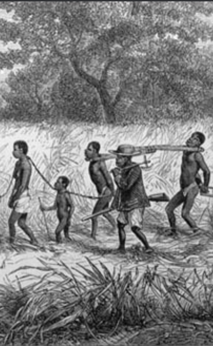 Jeff Amazon (mr-benny.eth) tweet media