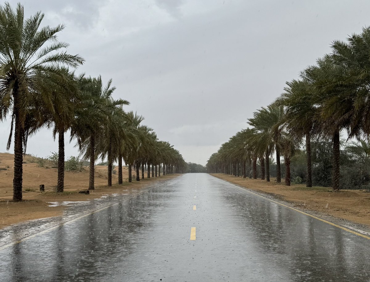 عبدالله tweet media