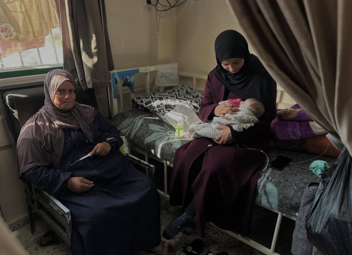 Doaa albaz tweet media