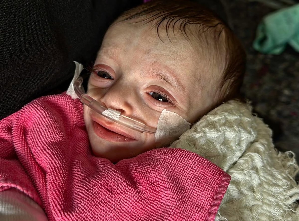 Doaa albaz tweet media