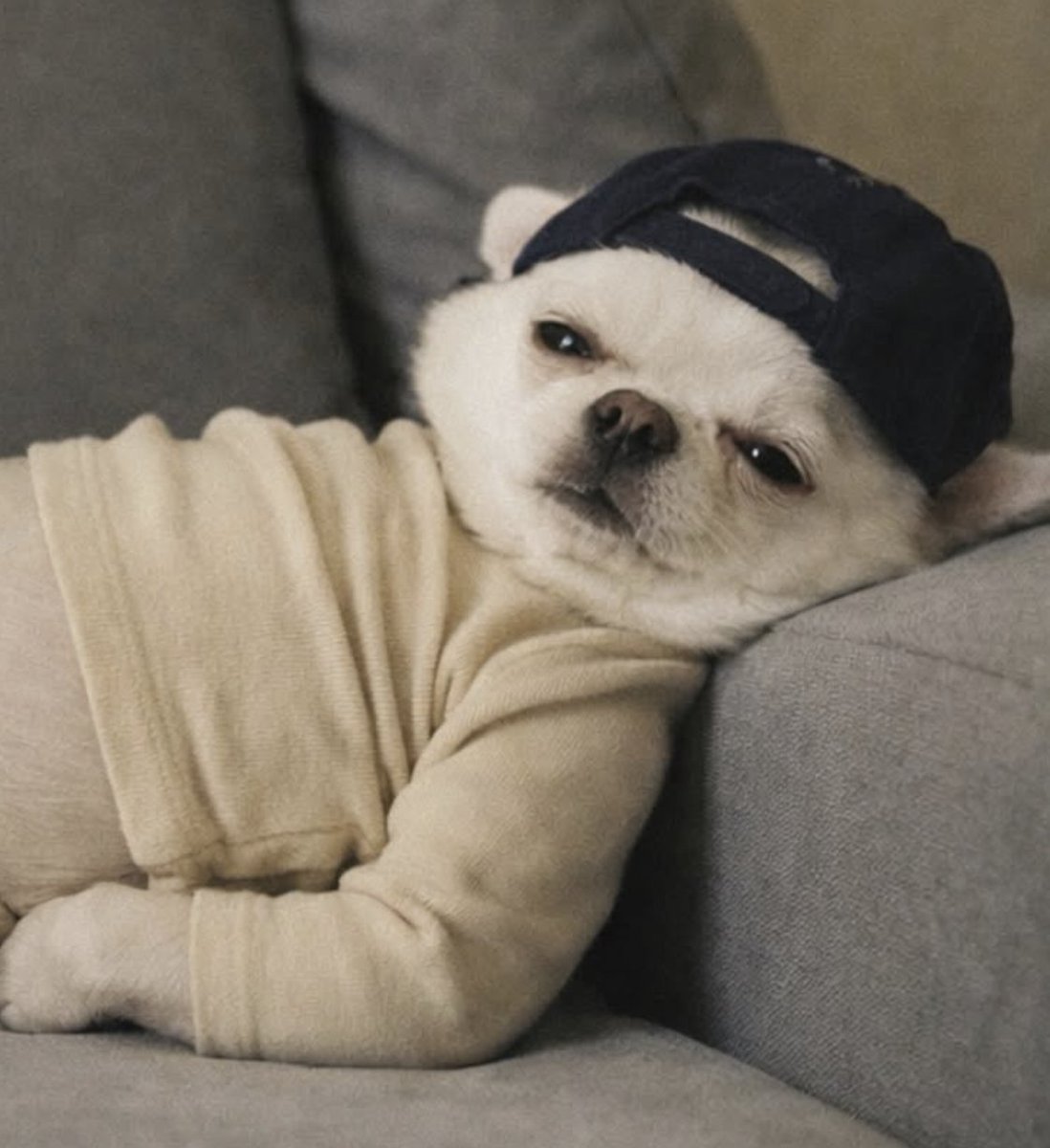 NeedMoneyforDogFood tweet media