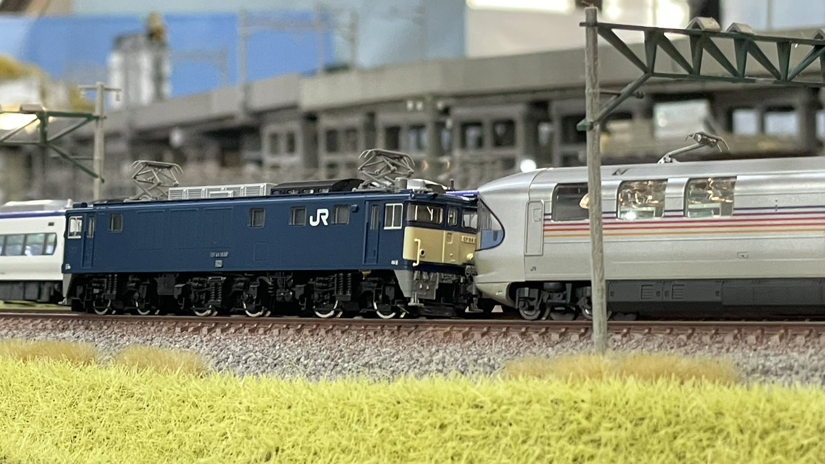 レンタルレイアウトRe-Color tweet media