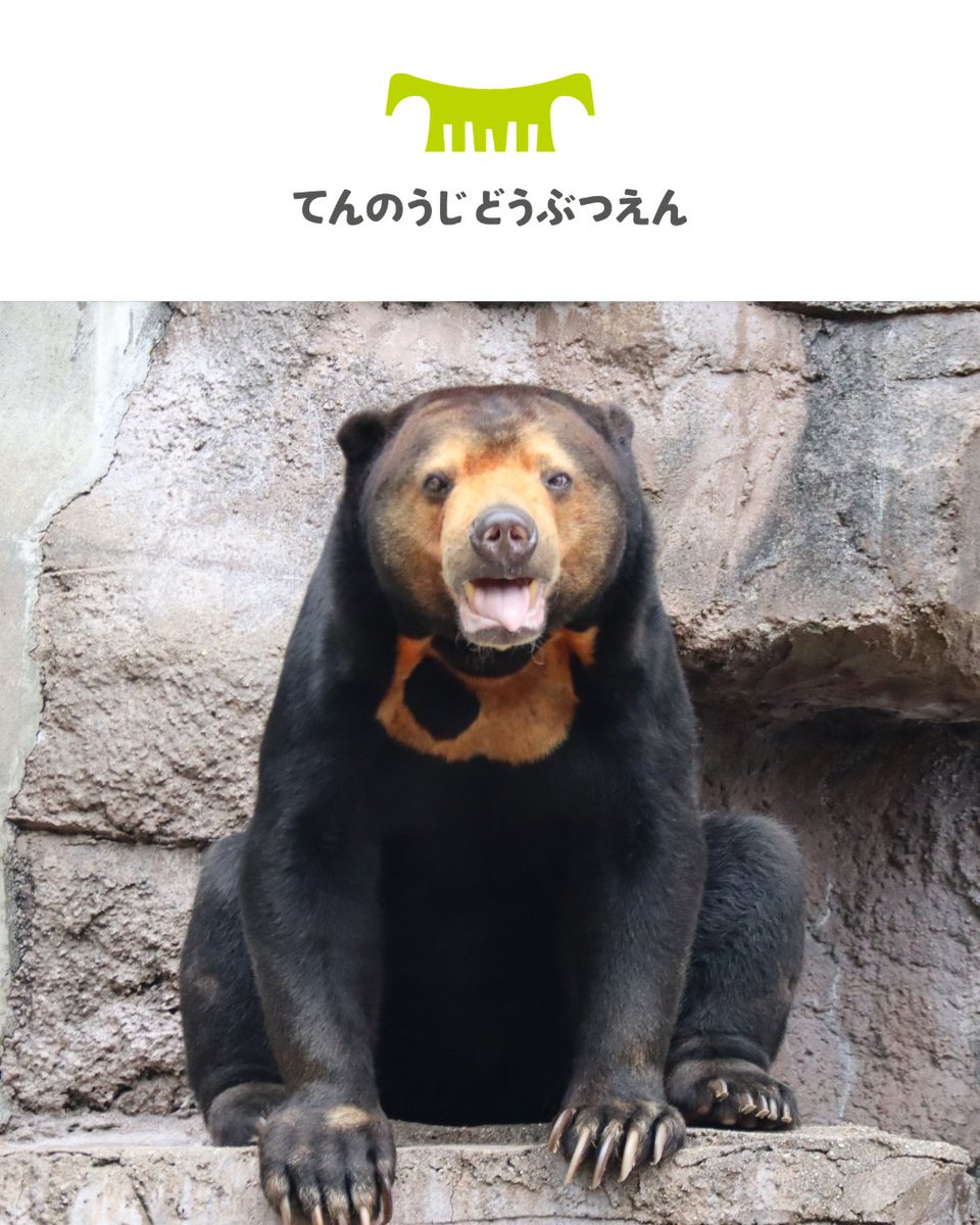 レゴランド・ディスカバリー・センター大阪【公式】 tweet media