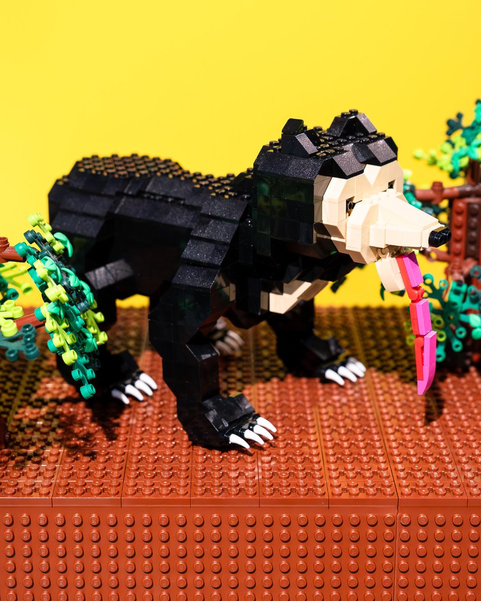 レゴランド・ディスカバリー・センター大阪【公式】 tweet media