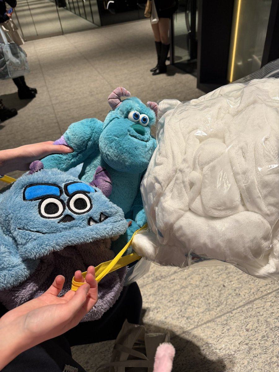 テム着てもらった記念にお友達とテムの写真撮ったんだけど、適当に撮りすぎてなんなのか分かんないの草wwwww