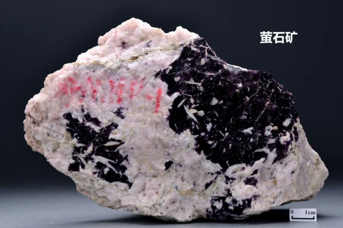 Zhao DaShuai 东北进修🇨🇳 tweet media