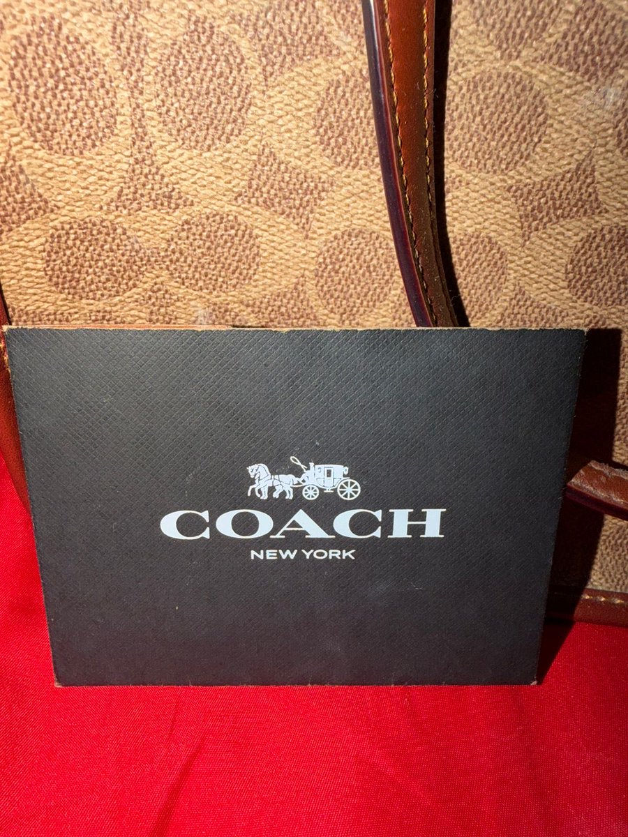 ✮⋆˙ tweet media