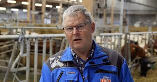 Fox in the box tweet media