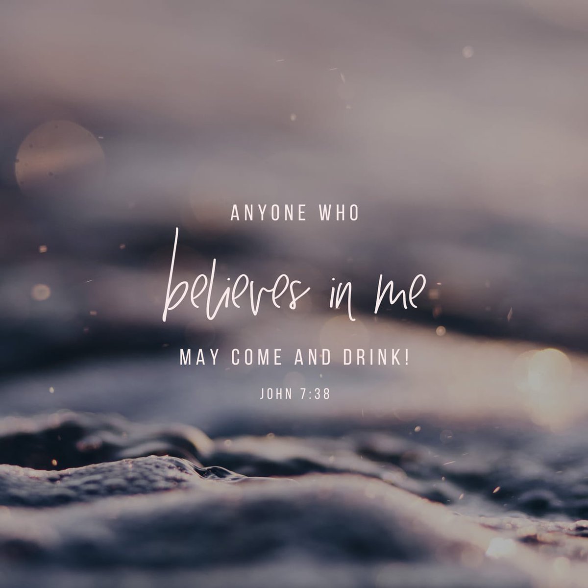 Lib n Dogan 🐶🐾💁🏻‍♀️ tweet media