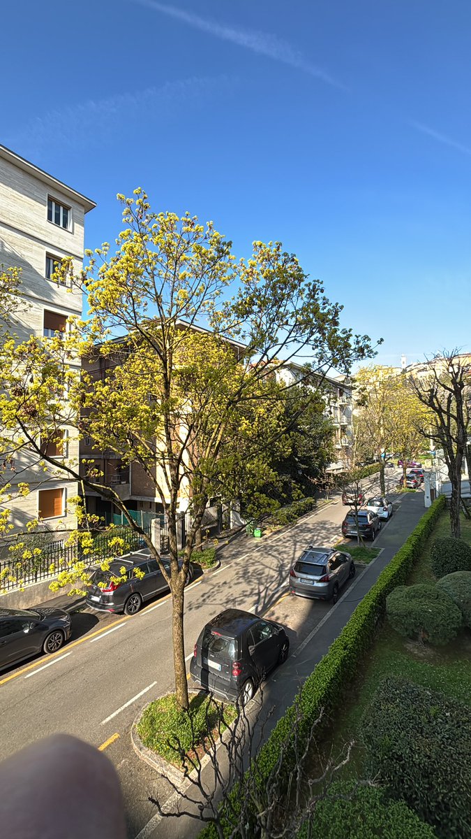 Loughers tweet media