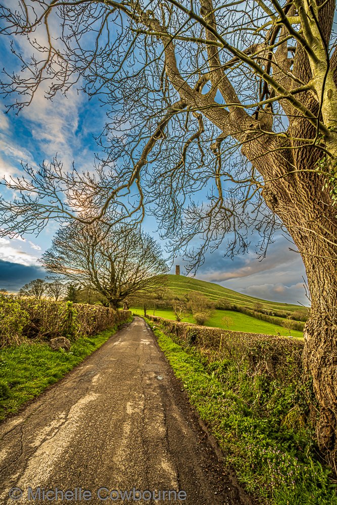 Michelle Cowbourne tweet media