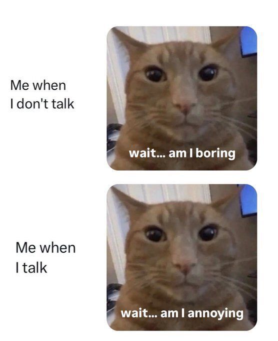 Cool Cat Society tweet media