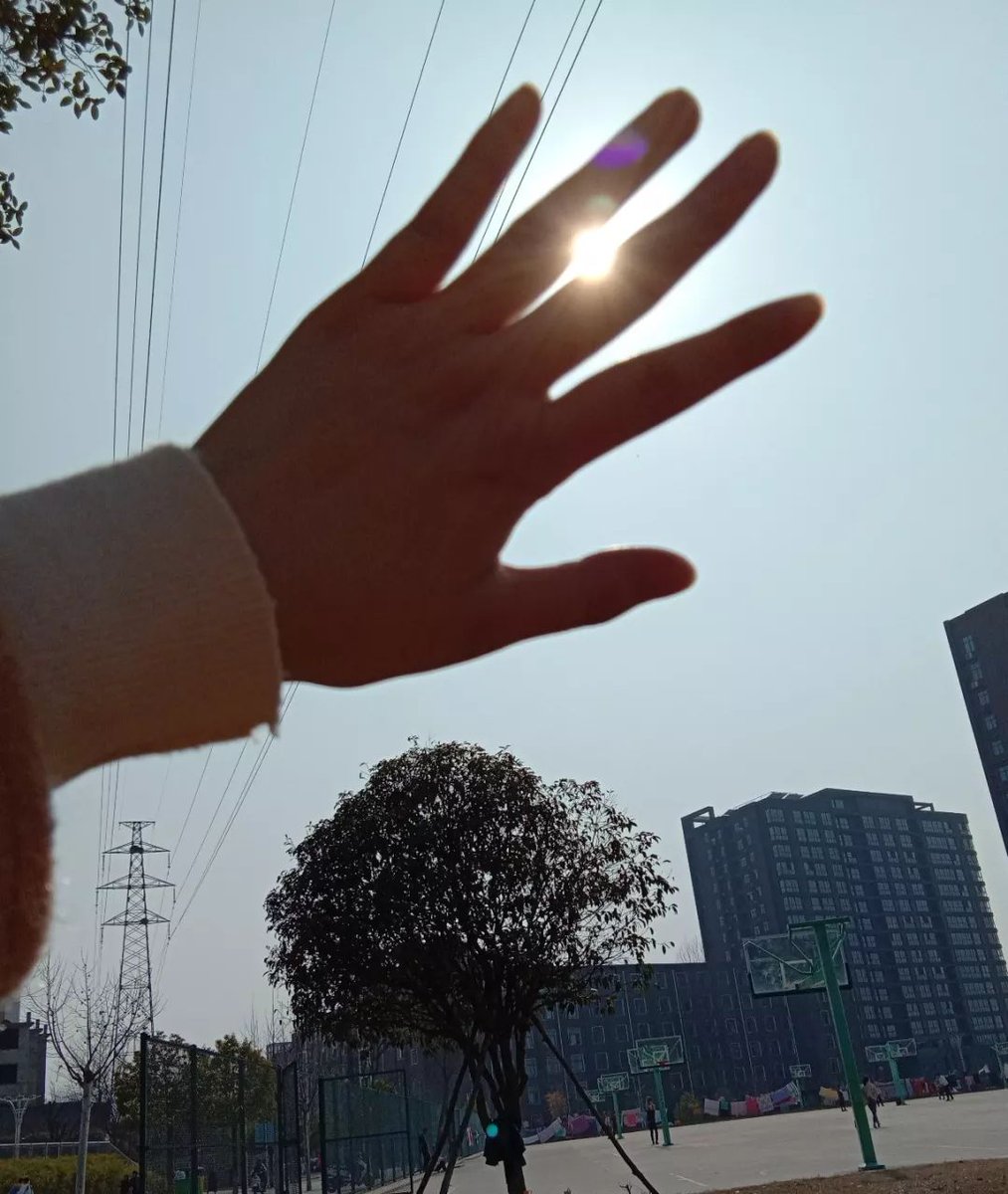 хохлов николай tweet media