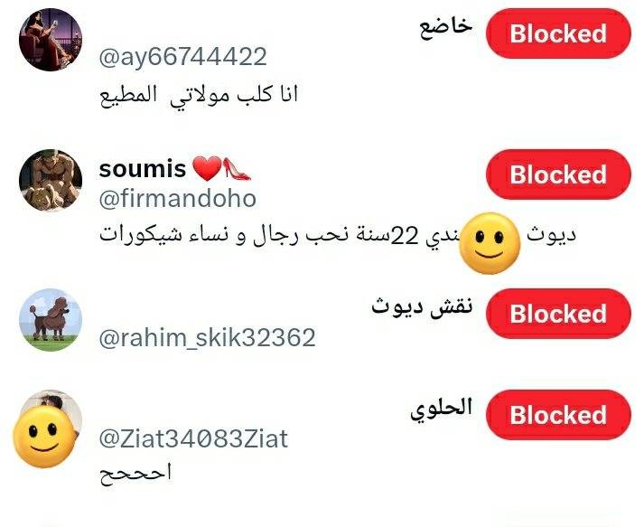 lina🇩🇿 tweet media