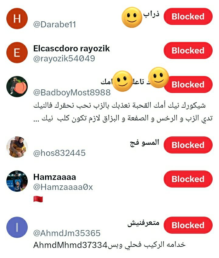 lina🇩🇿 tweet media