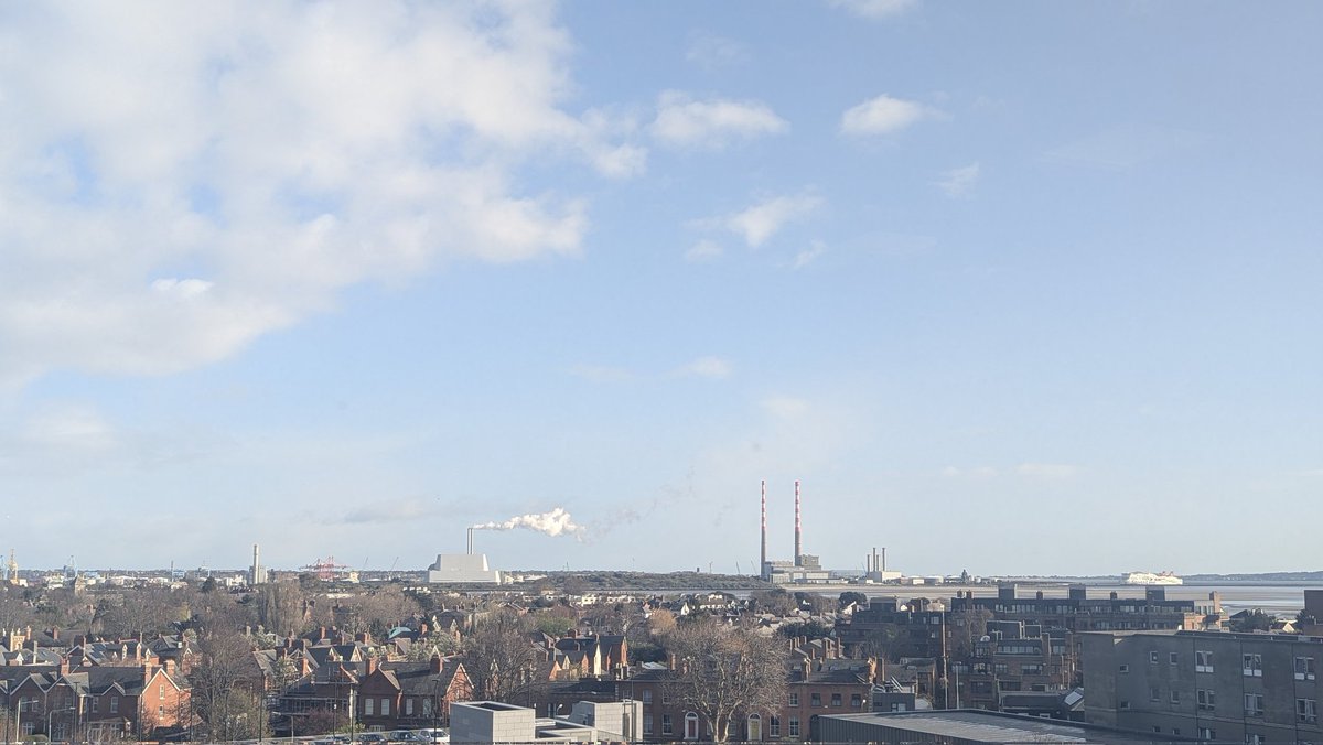 Dr Divago tweet media