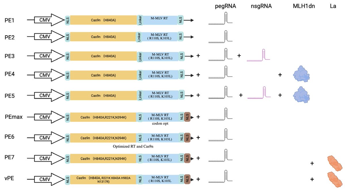 DNA MDPI tweet media